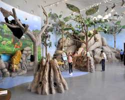 After the establishment of the Bihar museum, the collection from the year 1764 was decided to shift to the Bihar museum and the collection after the y